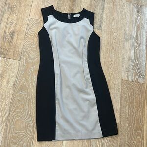Calvin Klein Sheath Dress